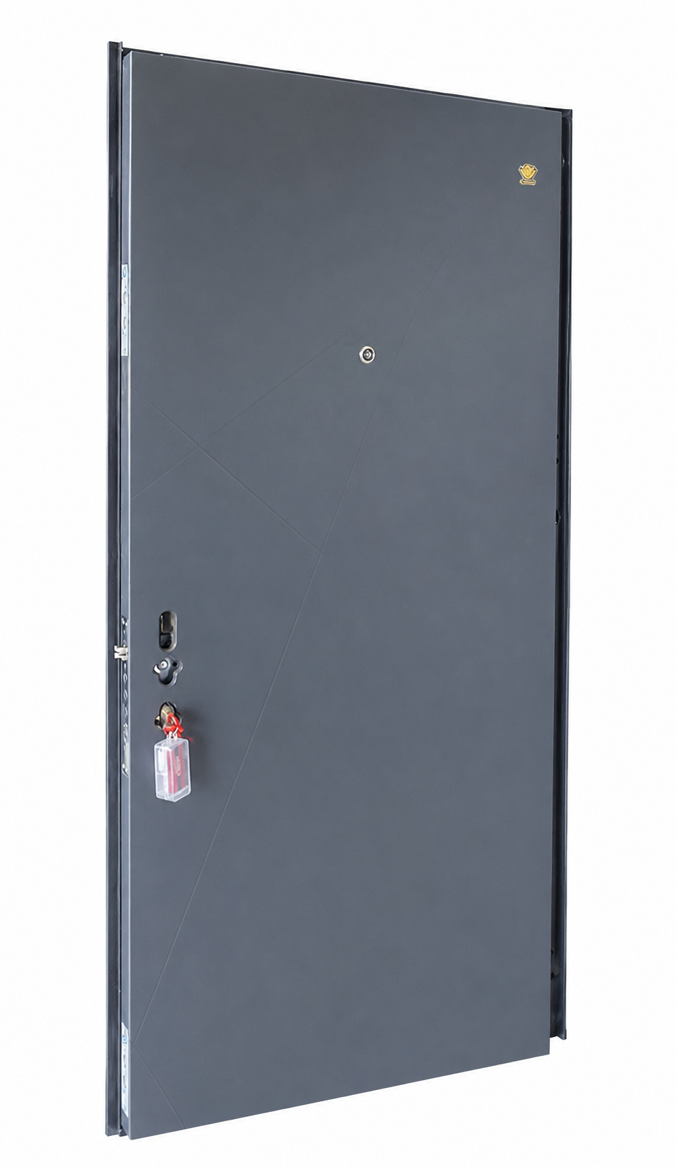 Premium Charcoal Gray Steel Security Door