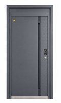 Modern Charcoal Gray Steel Smart Security Door | F-801